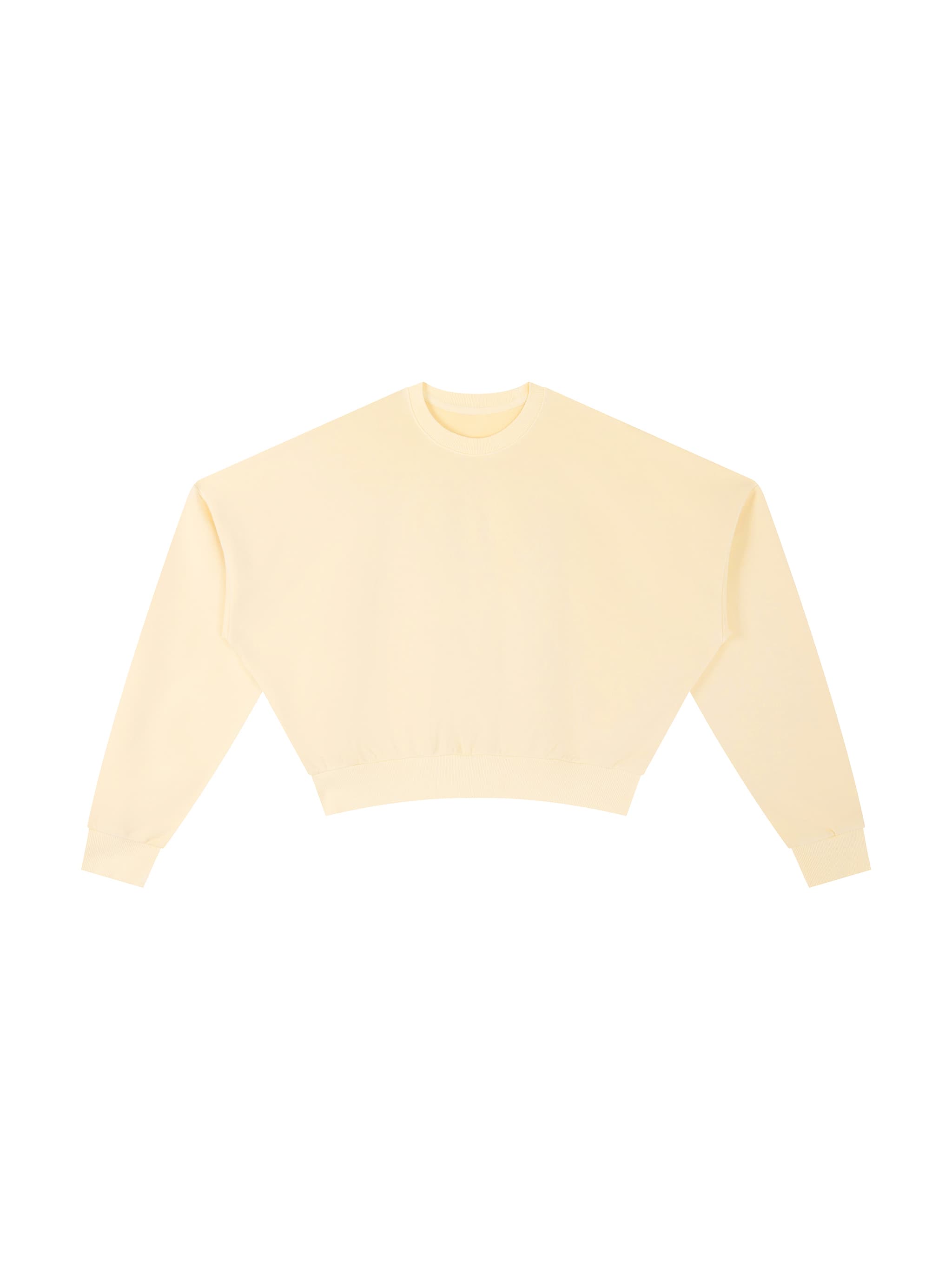 Custom Vintage Washed Cropped Sweatshirt — Sweatshirts