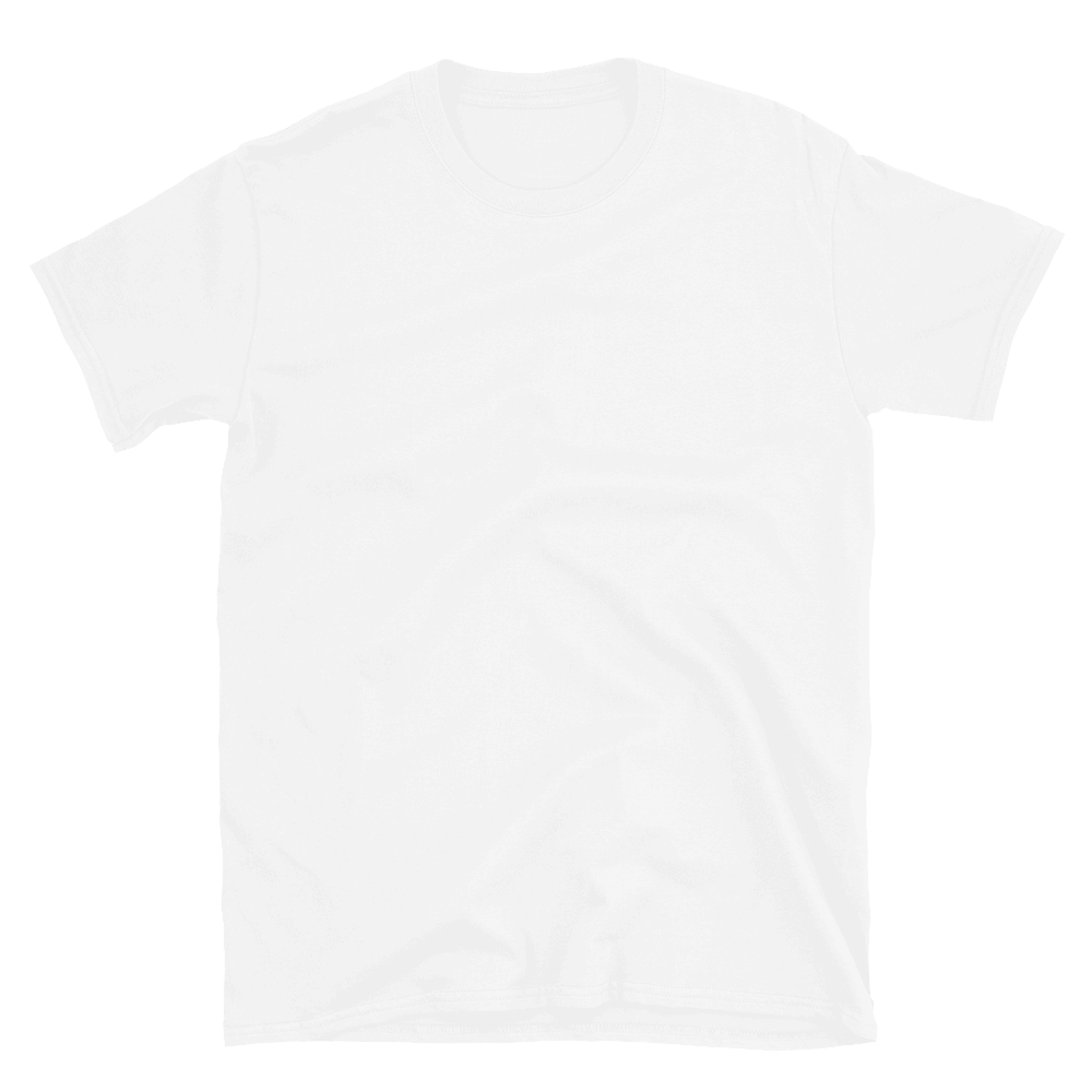 Unisex Softstyle T-Shirt — Graphite Heather